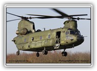 2011-11-11 Chinook RNLAF D-666_06